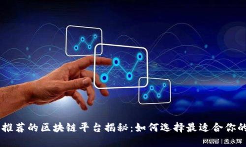 苏州推荐的区块链平台揭秘：如何选择最适合你的项目