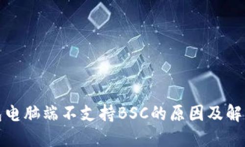 TP钱包电脑端不支持BSC的原因及解决方案