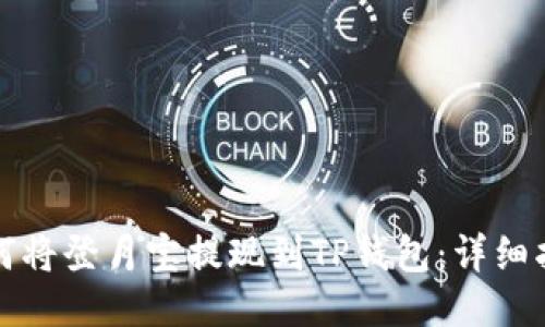 如何将登月宝提现到TP钱包：详细指南