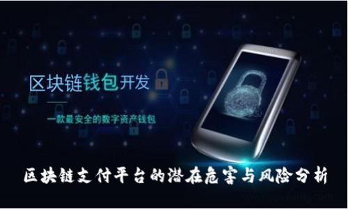 区块链支付平台的潜在危害与风险分析