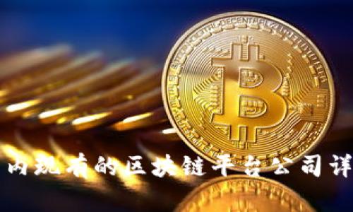 国内现有的区块链平台公司详解