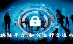 全面解析区块链平台：如何选择合适的区块链技
