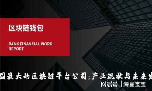 韩国最大的区块链平台公司：产业现状与未来发展
