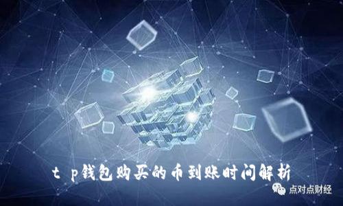 t p钱包购买的币到账时间解析