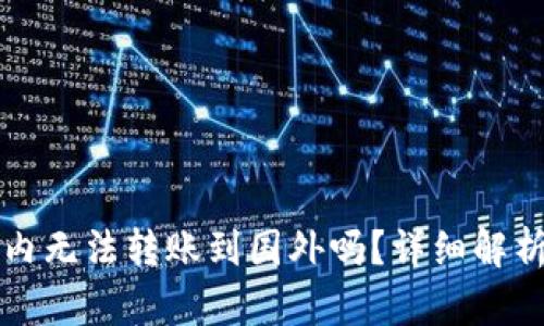 TP钱包在国内无法转账到国外吗？详细解析与使用指南