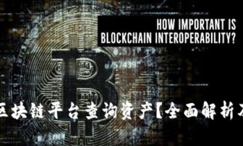 如何使用区块链平台查询资产？全面解析及实用指南