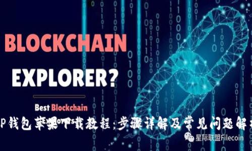 TP钱包苹果下载教程：步骤详解及常见问题解析