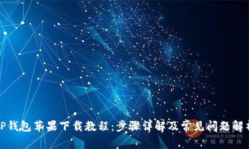 TP钱包苹果下载教程：步骤详解及常见问题解析