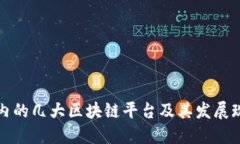 国内的几大区块链平台及其发展现状