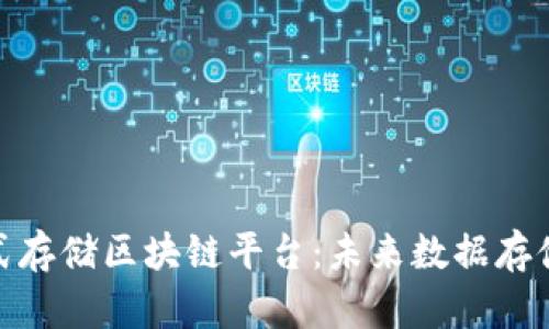 天津分布式存储区块链平台：未来数据存储的新选择